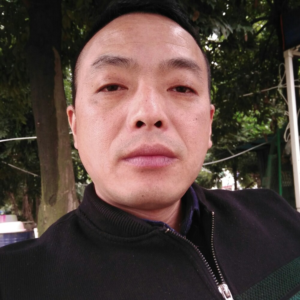 舒荷愿沉默的照片