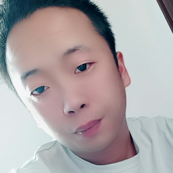 战斗机蹁跹苹果的照片
