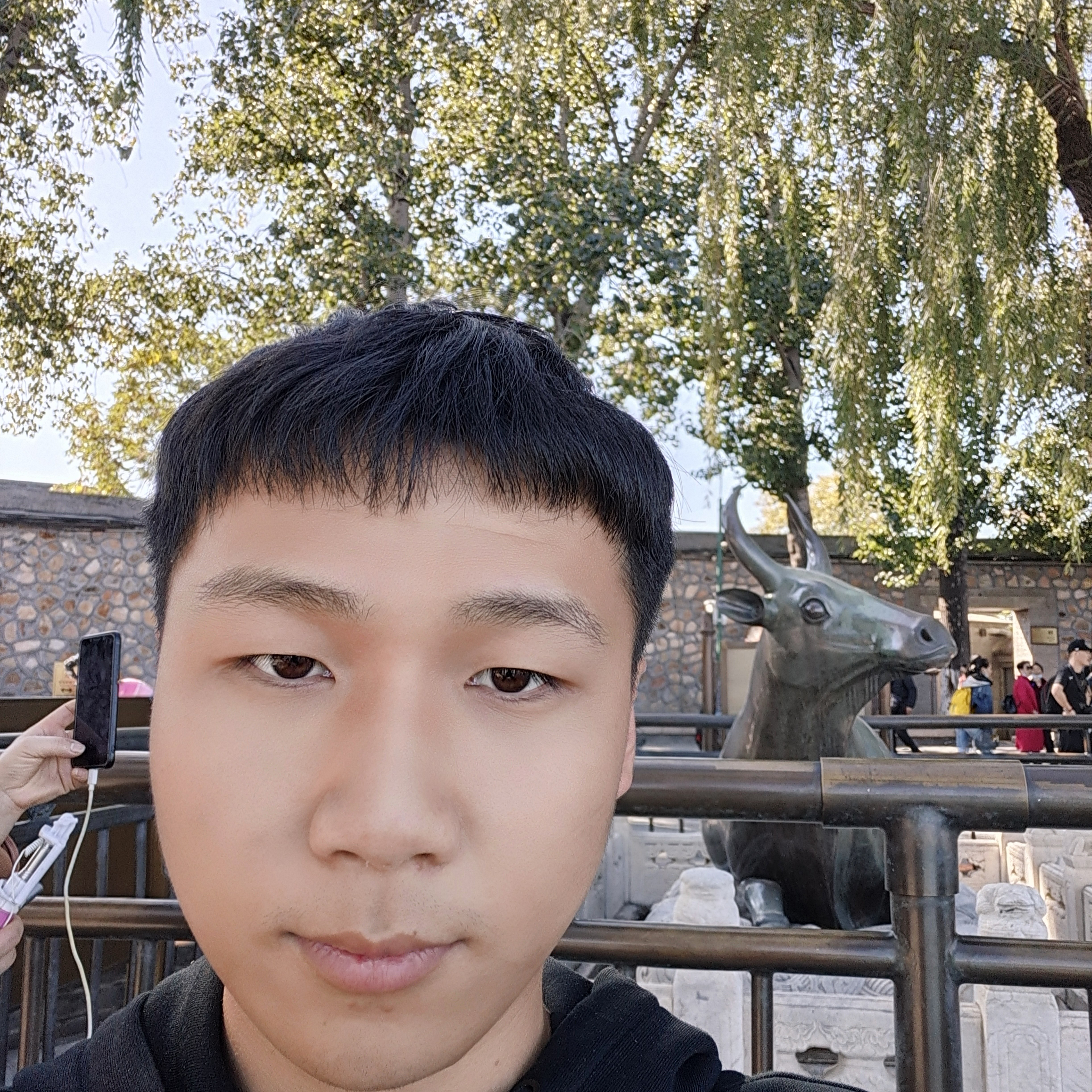 晨阳给自然的照片
