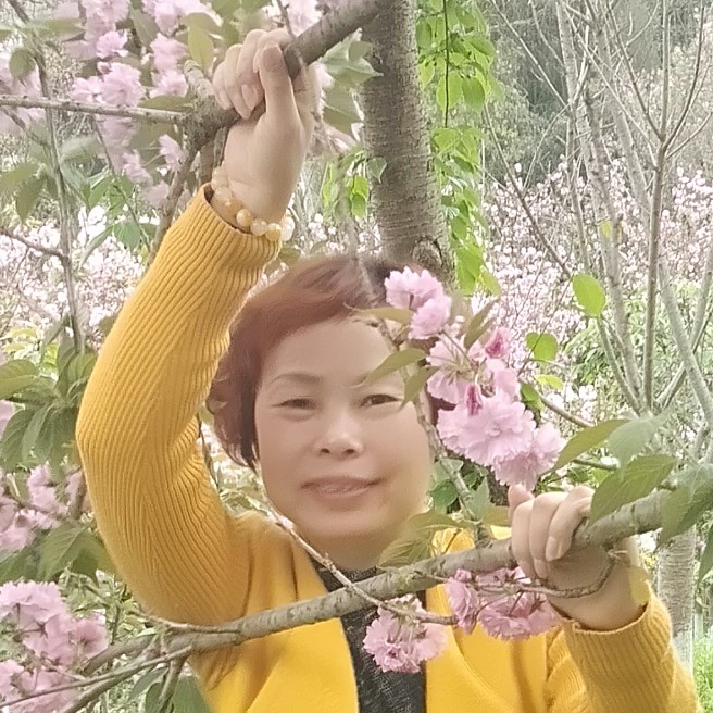 小白菜回眸踏实的照片