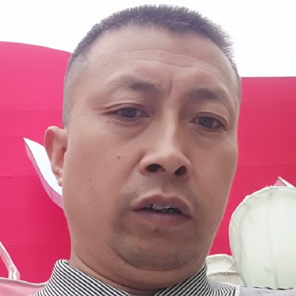 自由飞哥的照片