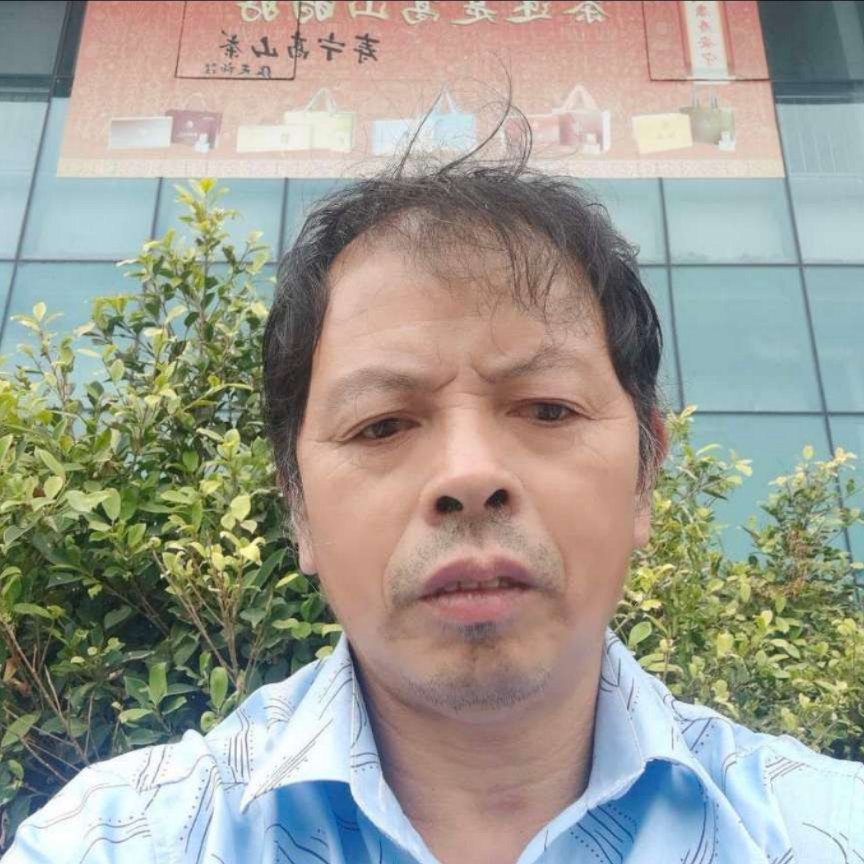 雨中的流浪的照片