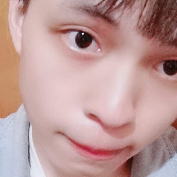鸭子强健的照片
