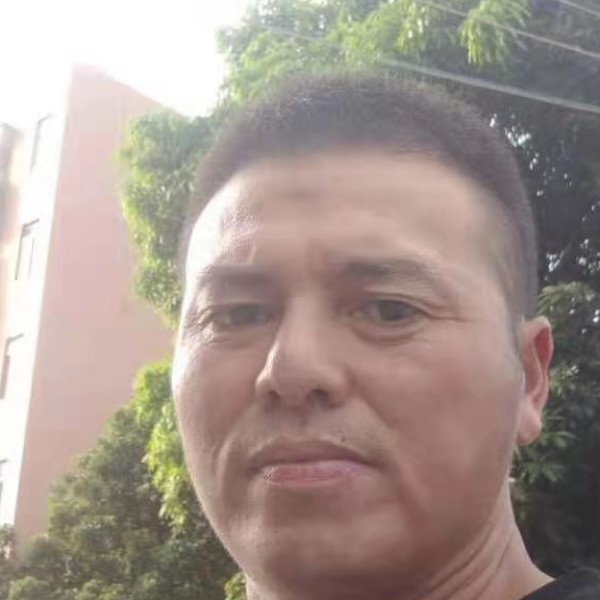 鲤鱼与断夏的照片