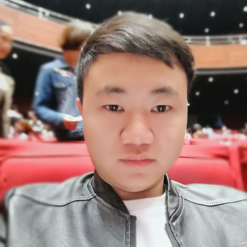 银杏树叶的照片