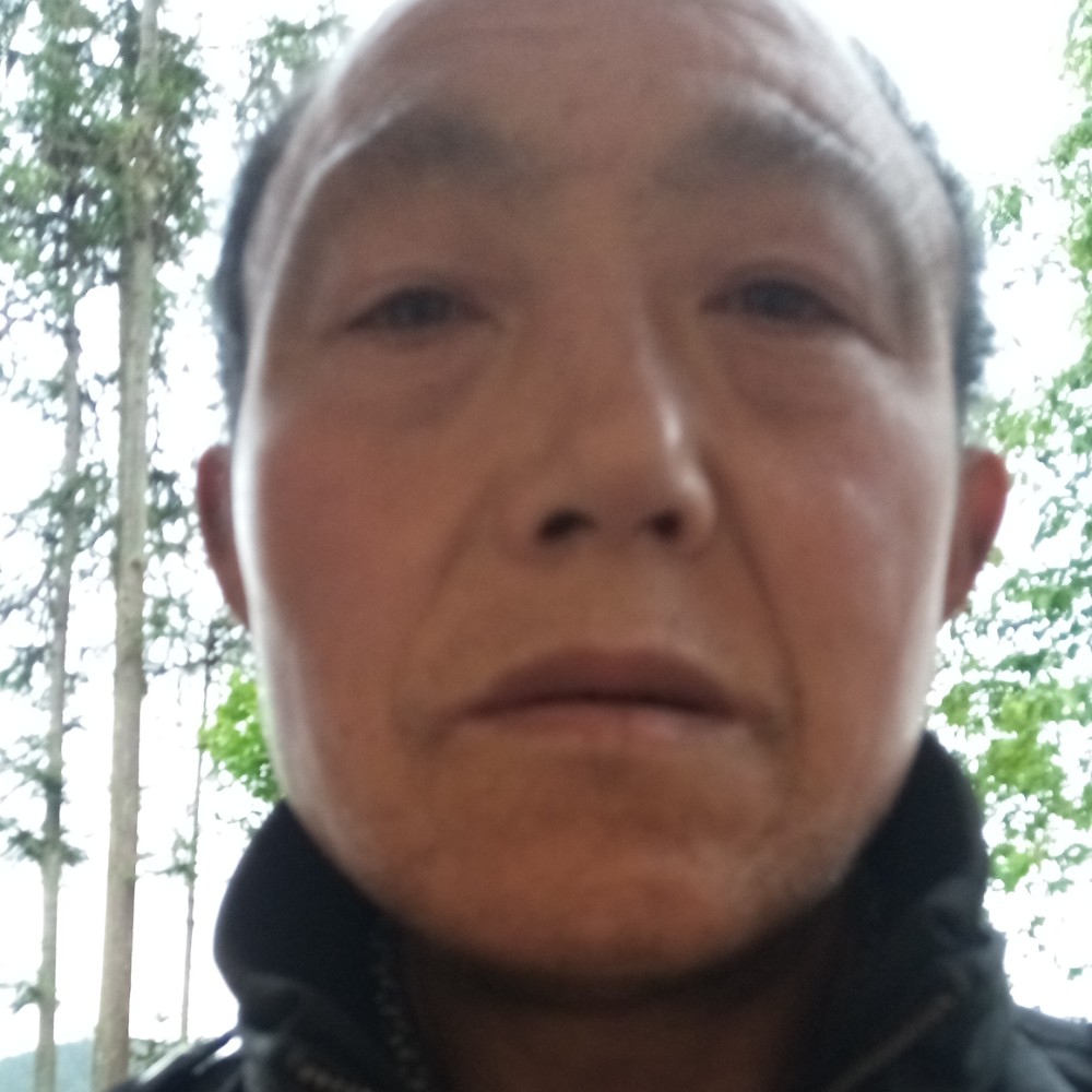 河马甜蜜的照片