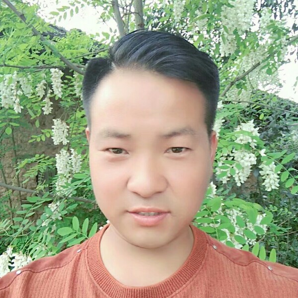 杨佳强的照片
