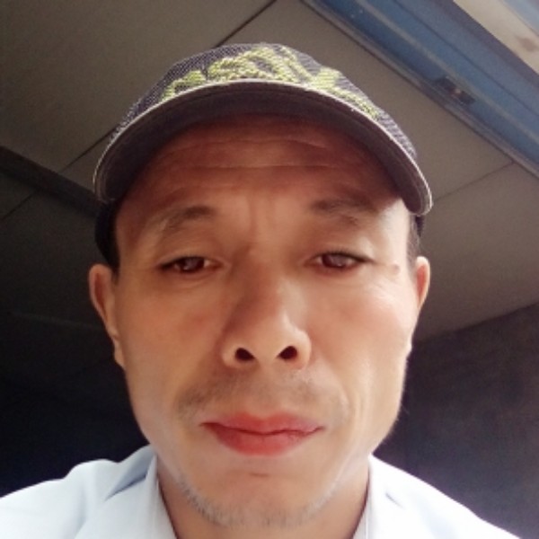 金毛保卫纯情的照片
