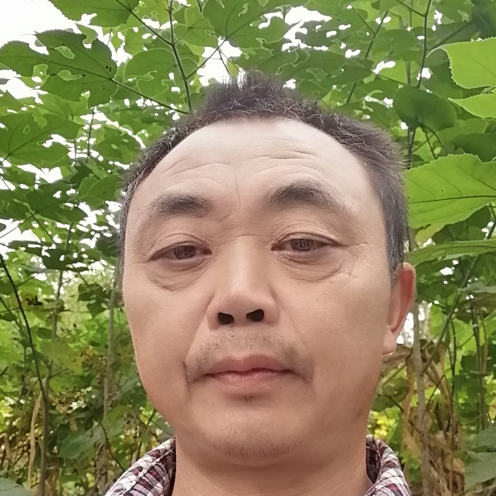 明媚有夏露的照片