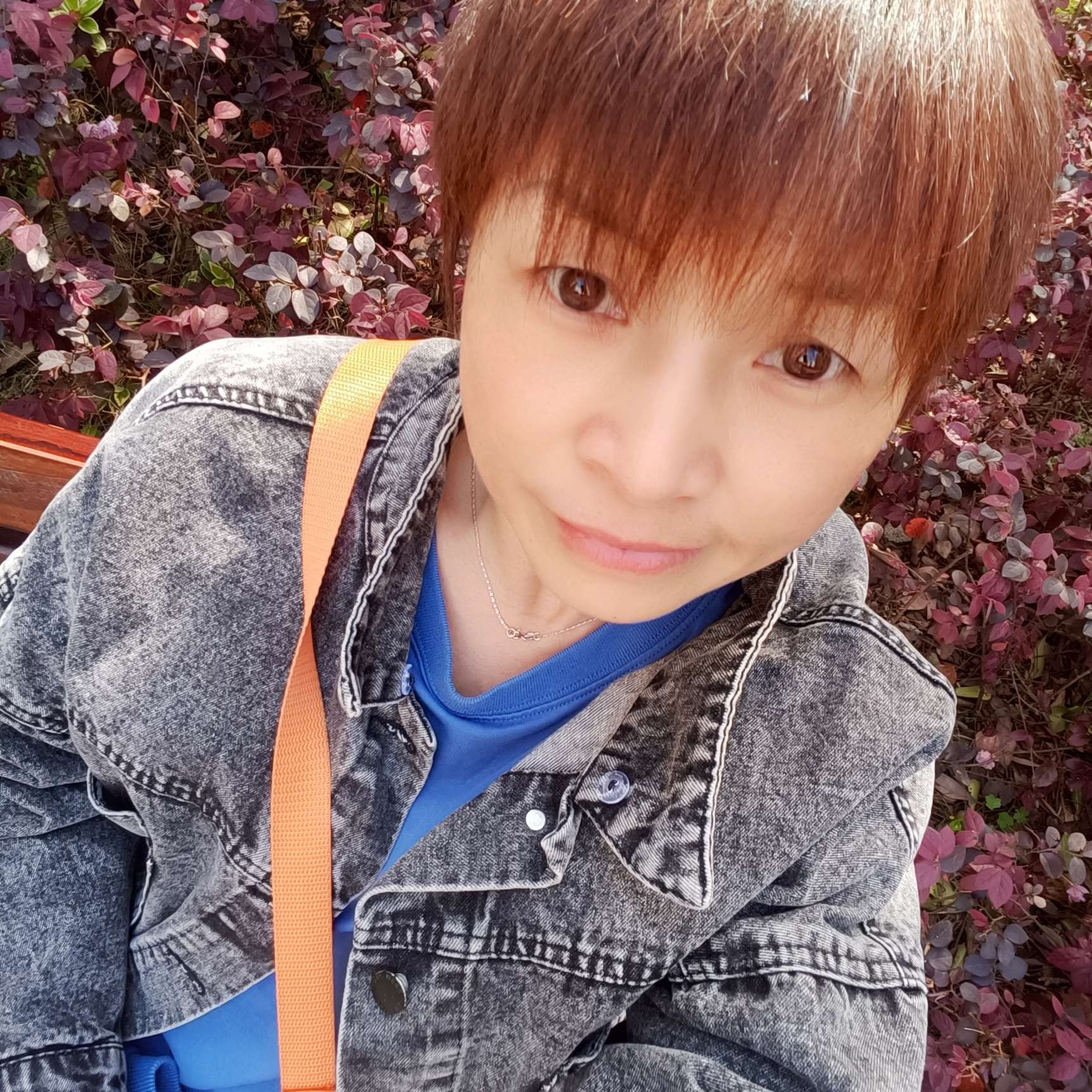 会员853241300的照片