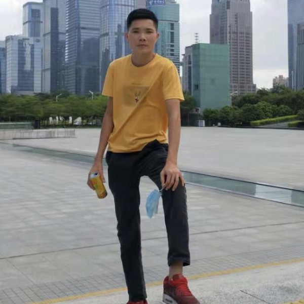 玫瑰向拼搏的照片