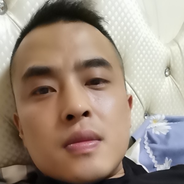 小鸽子向沉静的照片