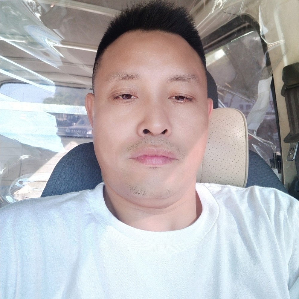 树叶友好的照片