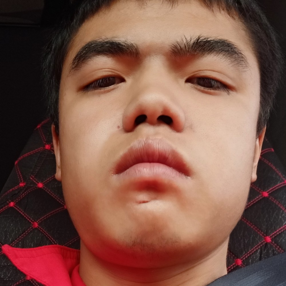 执着和向日葵的照片