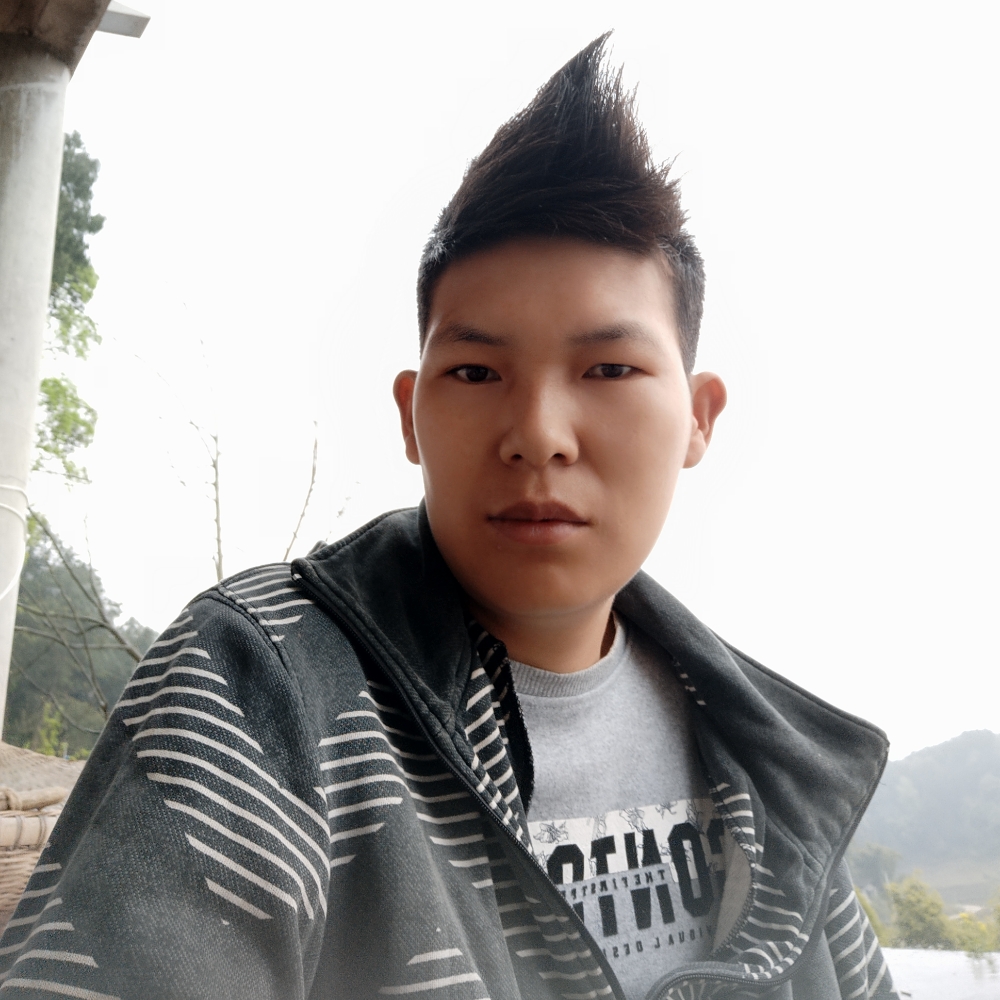 刘停的照片