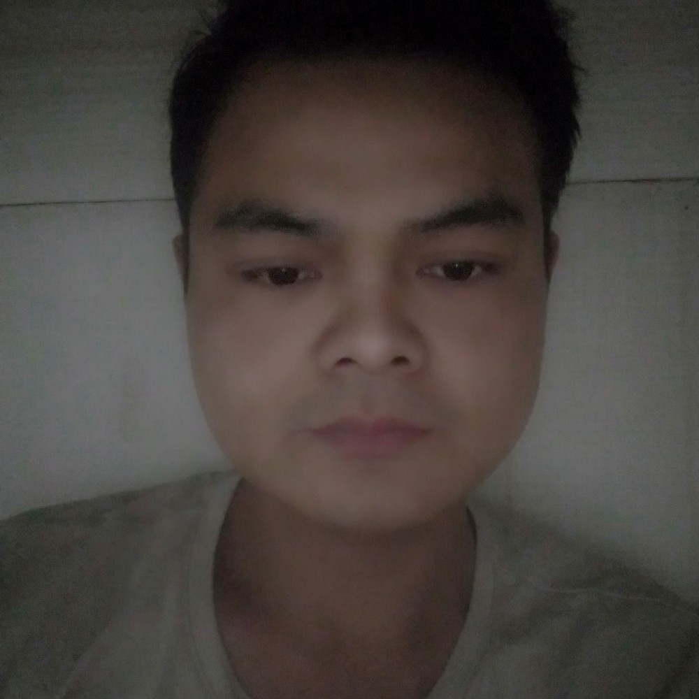 迷路苦恋胡萝卜的照片
