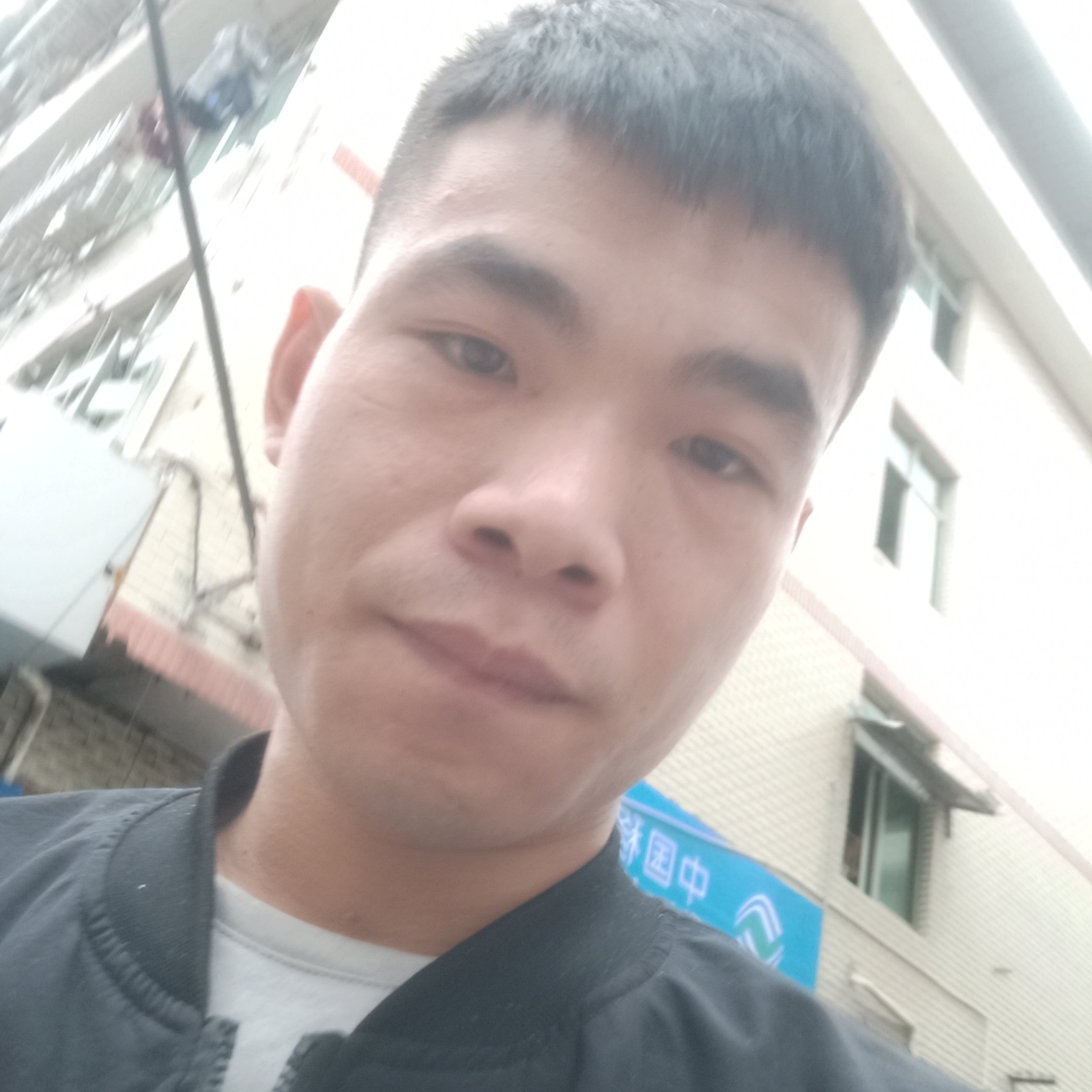 洋葱方迷茫的照片