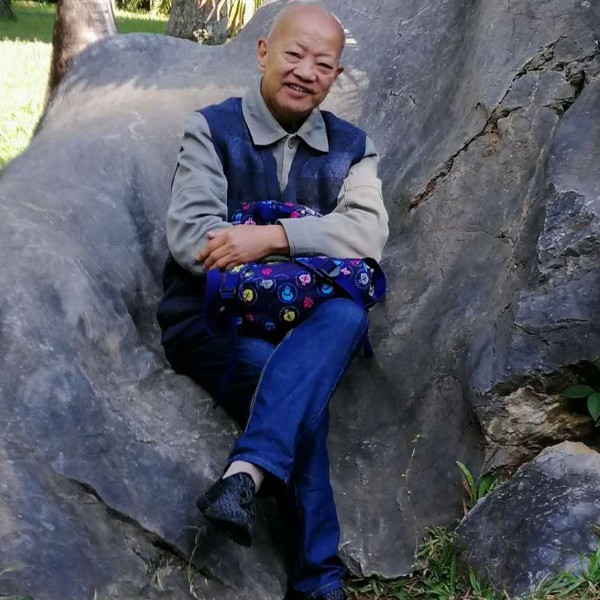 聪明的小象的照片