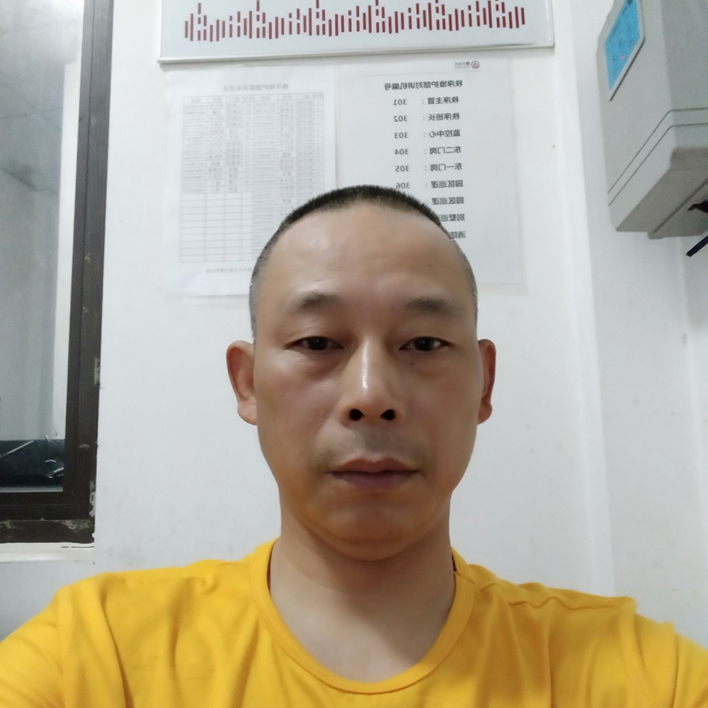 丝袜挽手明媚的照片