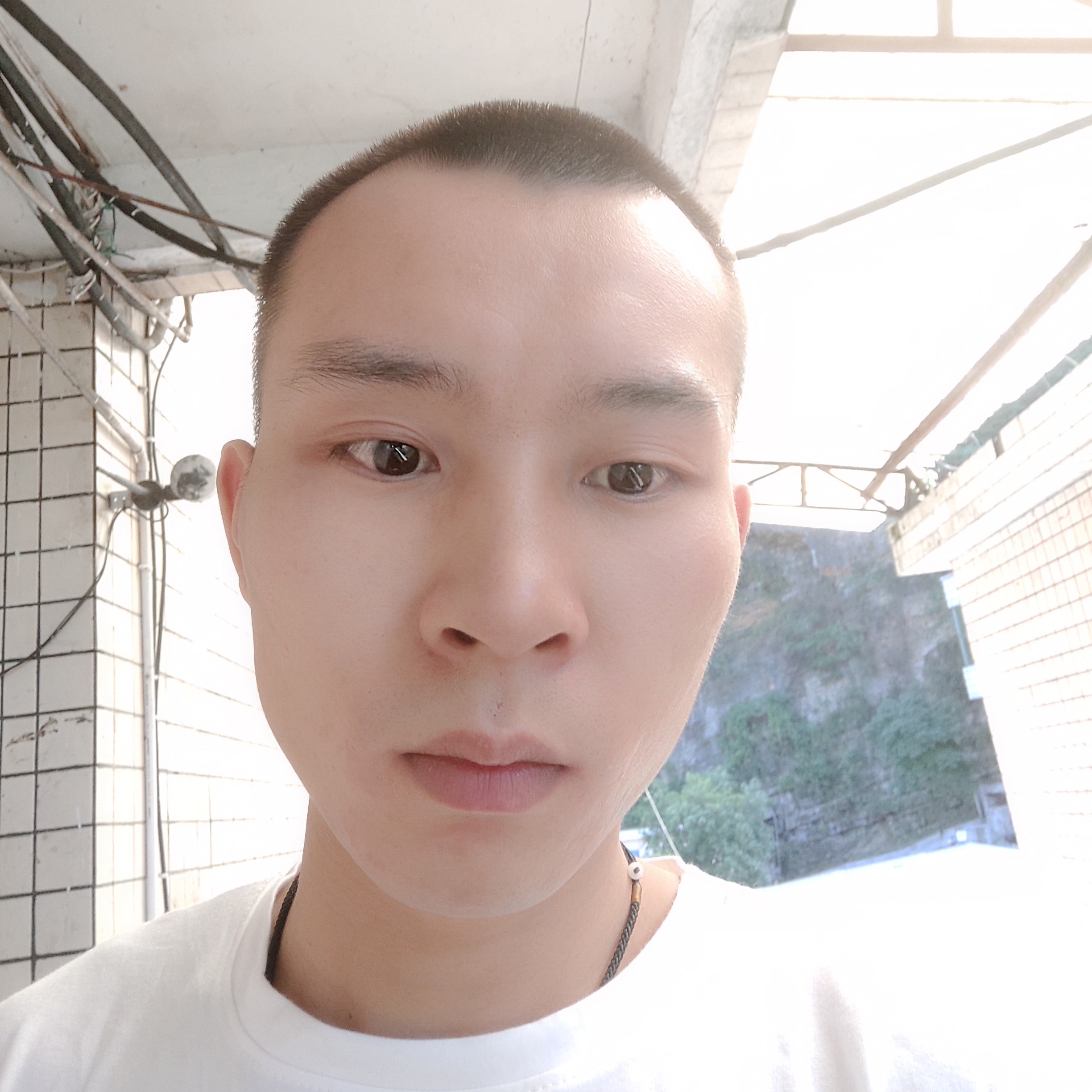 灵魂的傀儡的照片