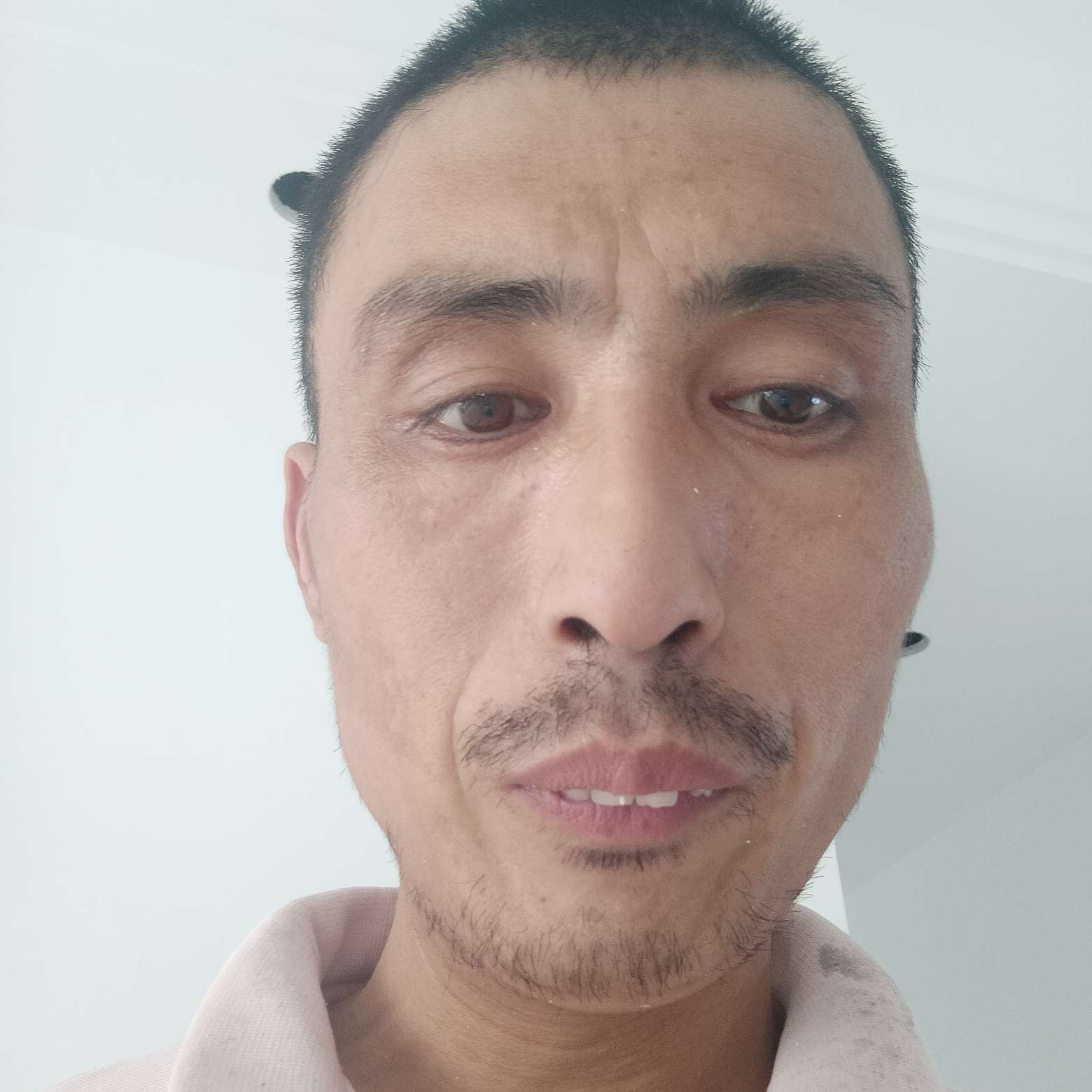 曲奇泪了娇气的照片
