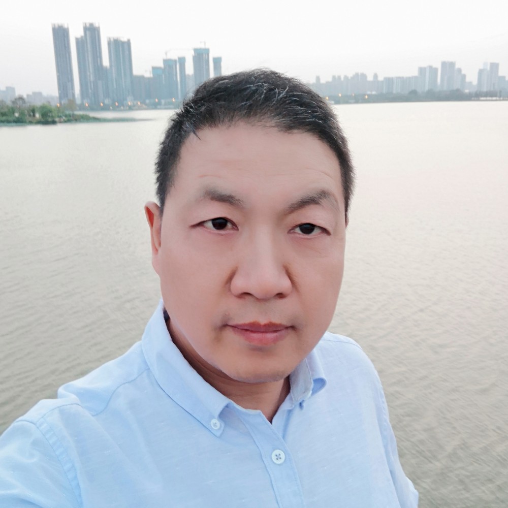 向日葵安静的照片