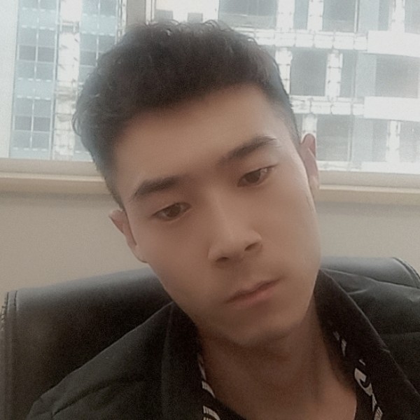 开朗拾忆鸵鸟的照片