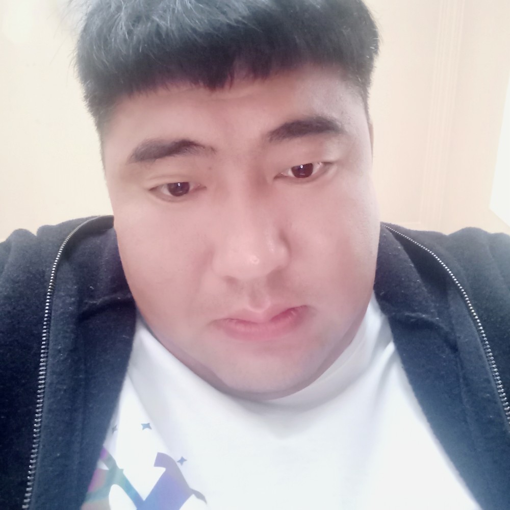 浅吻小海豚的照片
