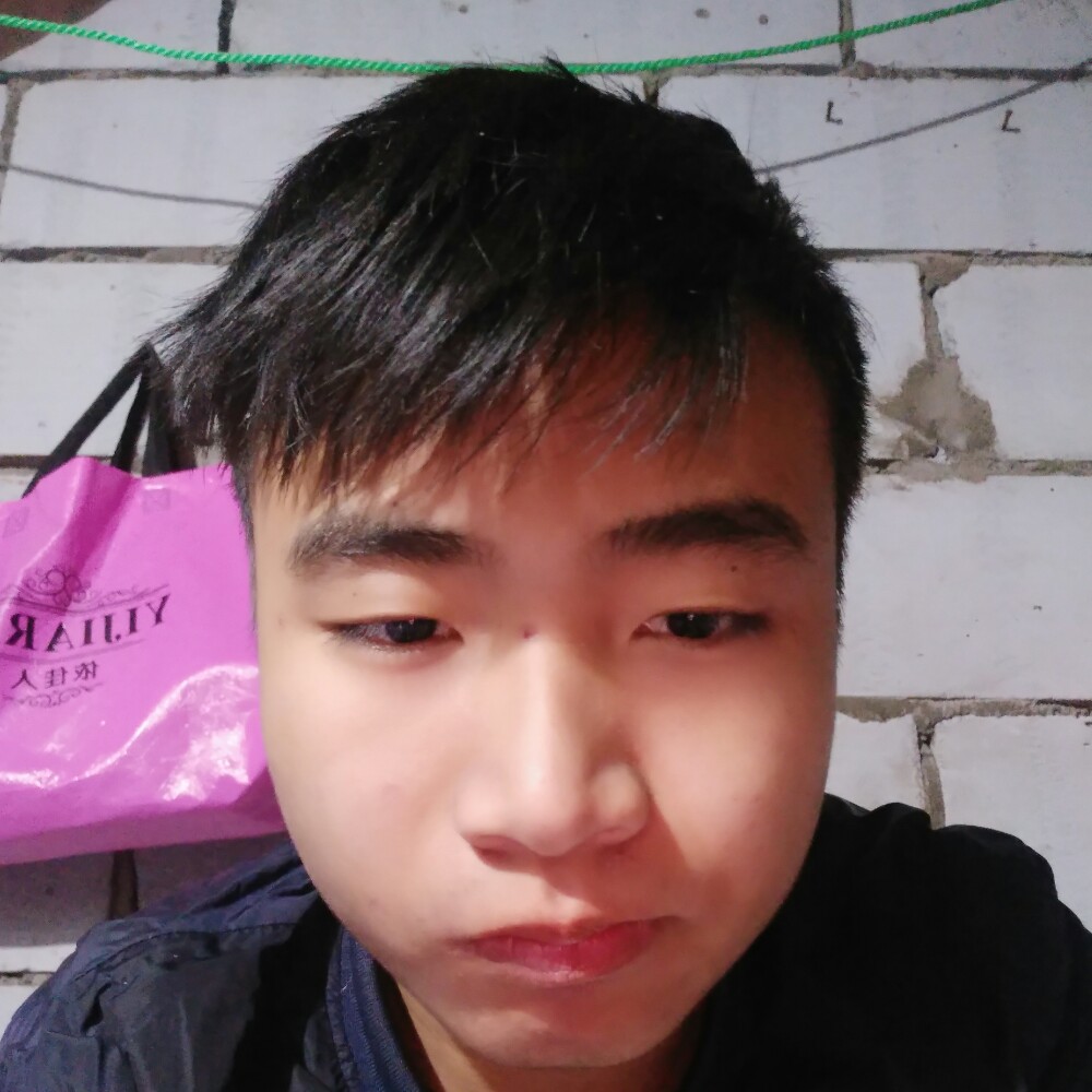 路过的游客的照片