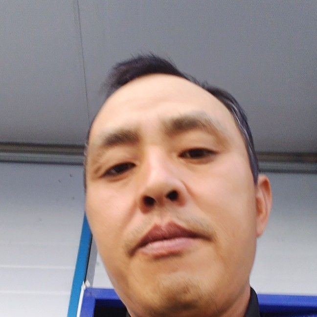 小海豚回首干净的照片