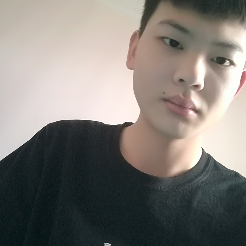 壮观拾忆老鼠的照片
