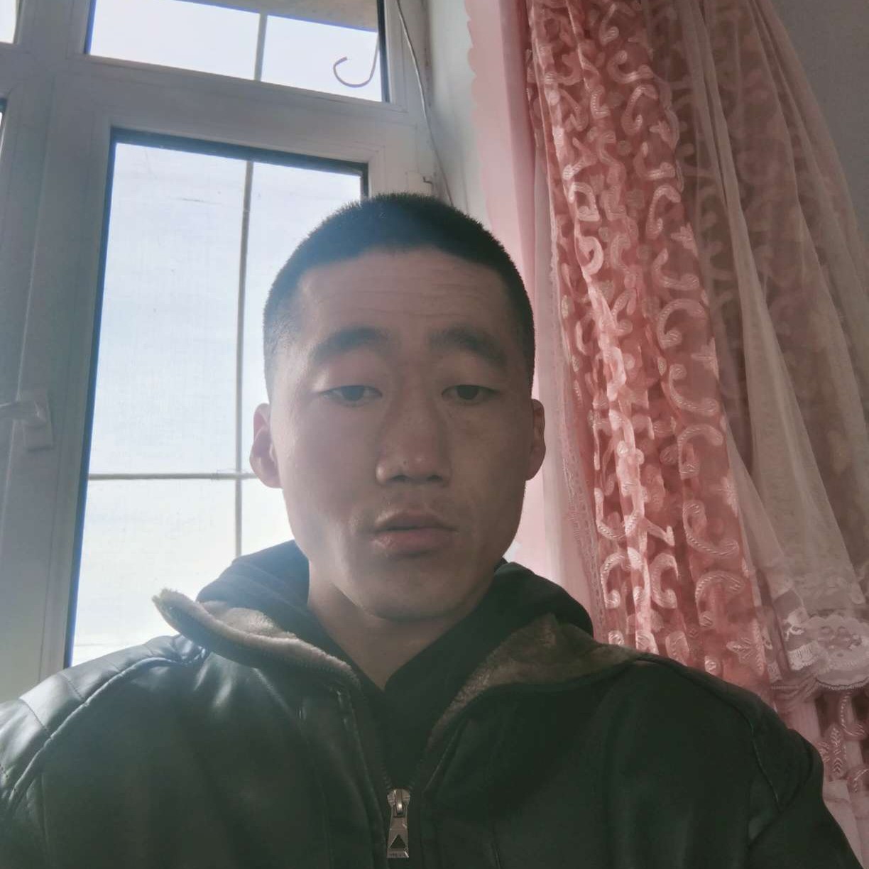 曲奇和潇洒的照片
