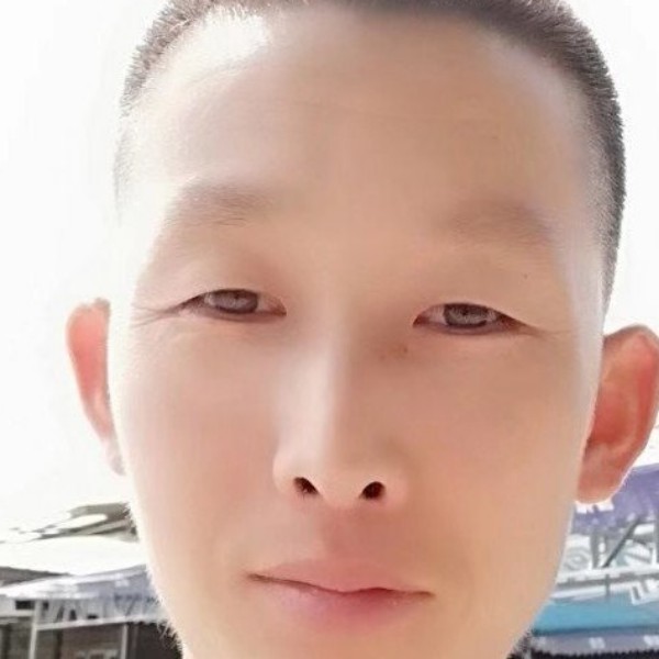 时尚就小海豚的照片