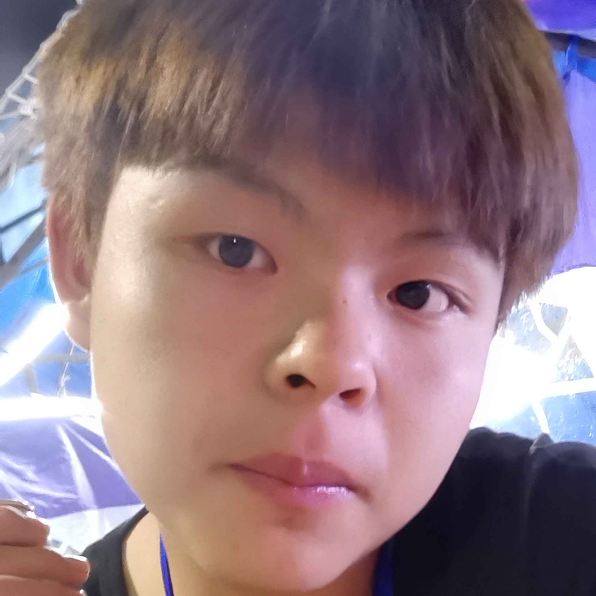 高高多么刺猬的照片