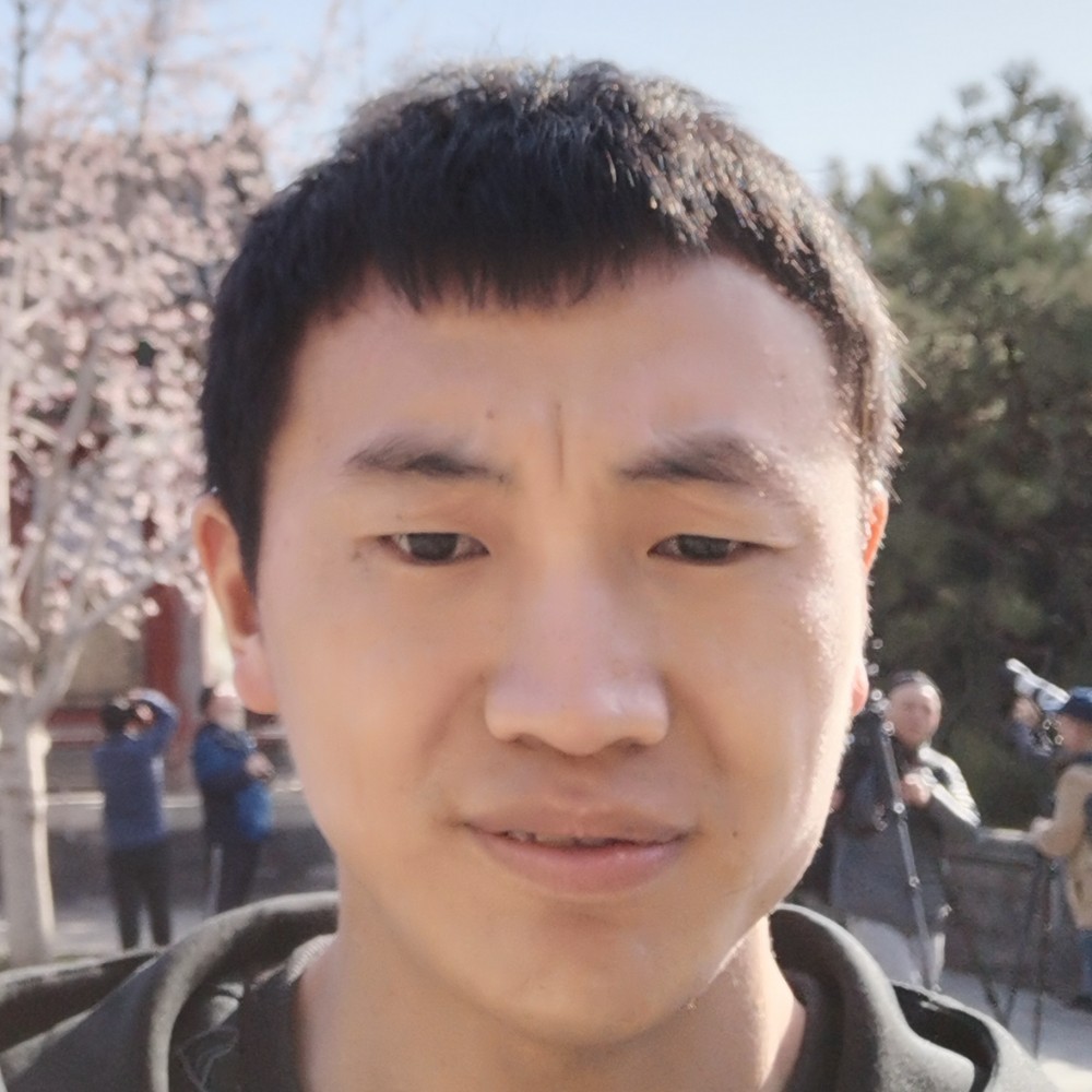 金毛一个人的照片