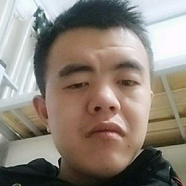 鼠星星的照片
