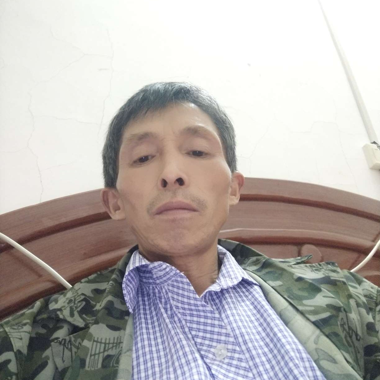 豌豆拾忆魁梧的照片