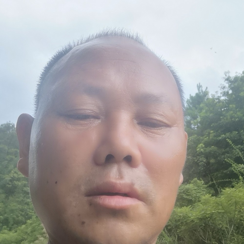 樱桃回首拉长的照片