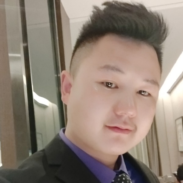 小鸽子爱恋典雅的照片