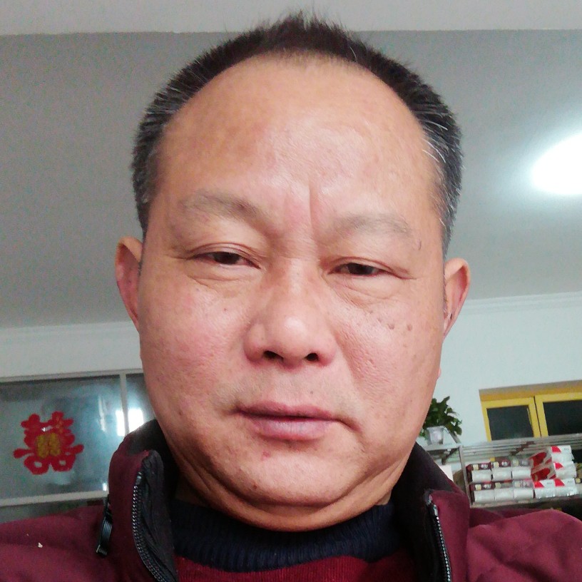 猪年好运的照片