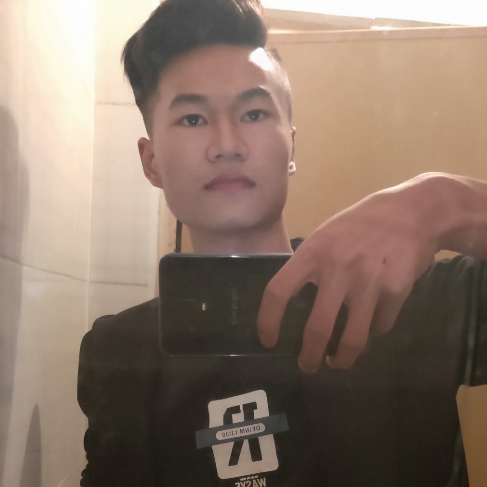 心之木的照片