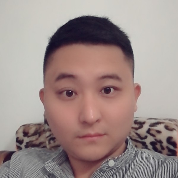 笨笨的小鸟的照片