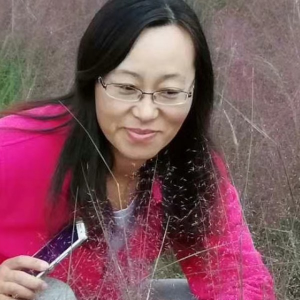 顺心玫瑰的照片