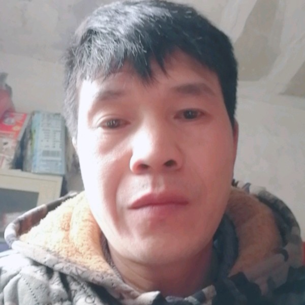 大力小鸽子的照片