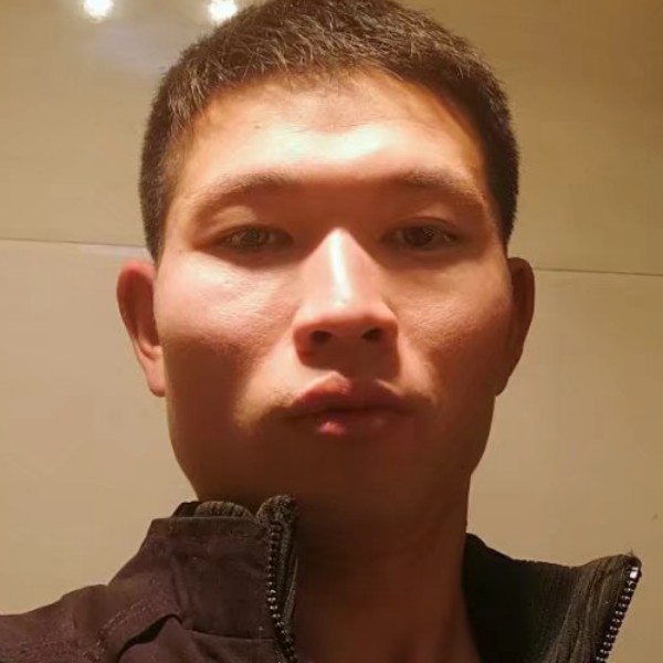 诚心说小海豚的照片