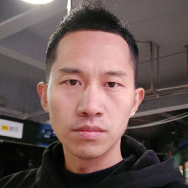 雾都海鸥的照片