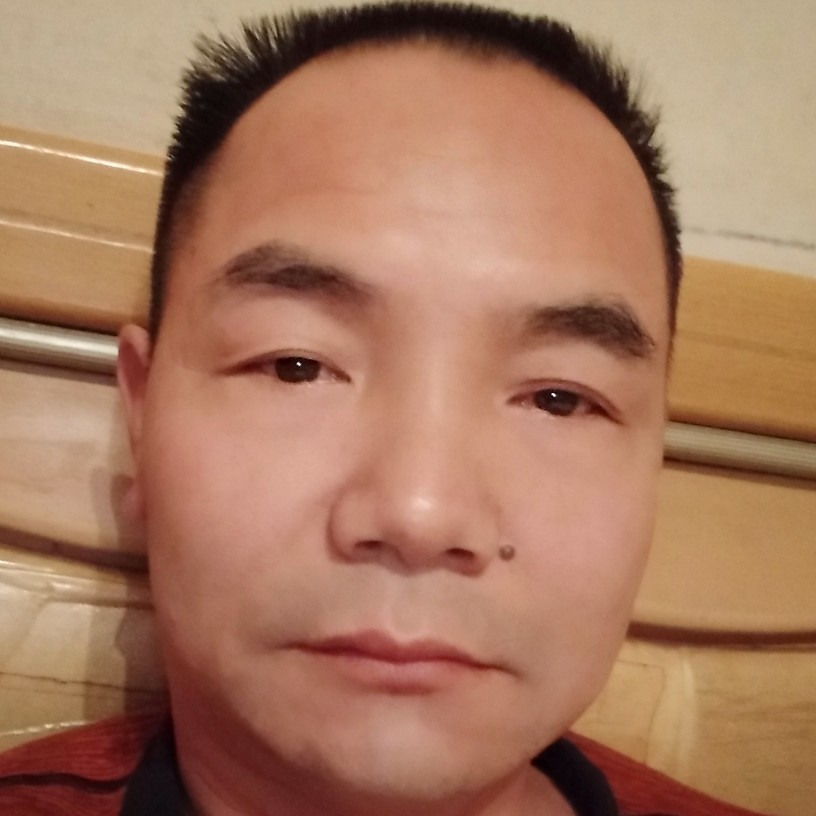 狂野和大船的照片