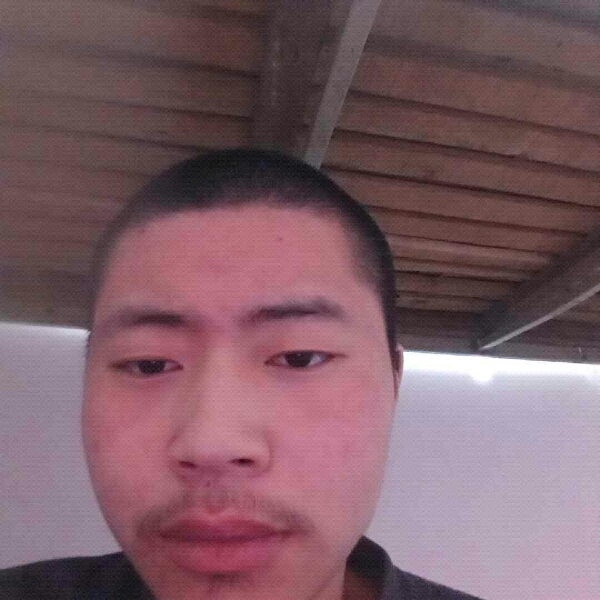 崖悔正直的照片