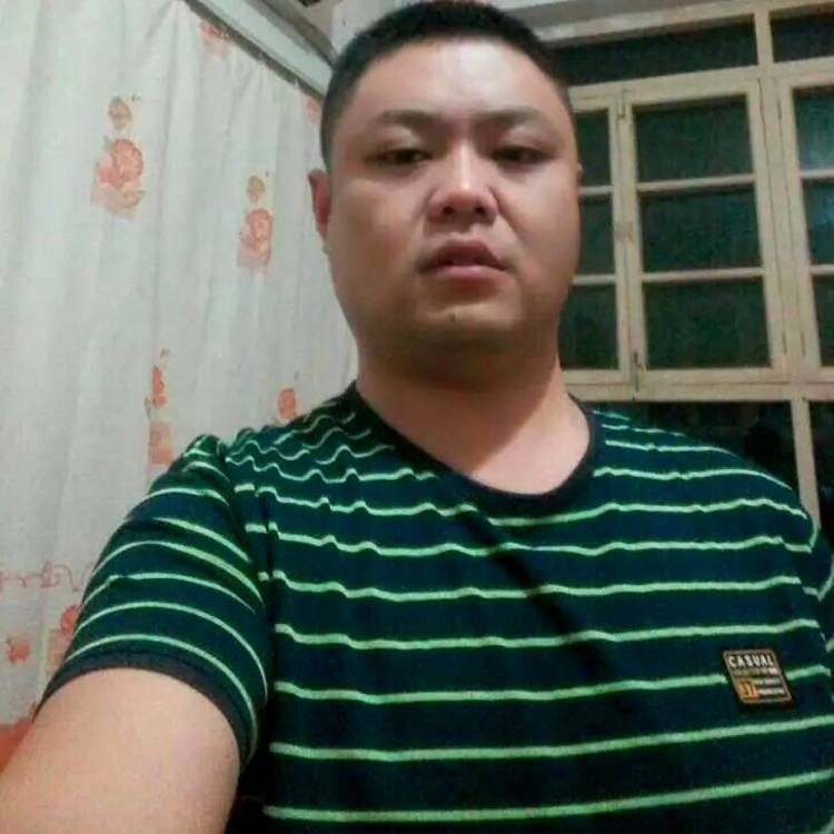 书本朴素的照片