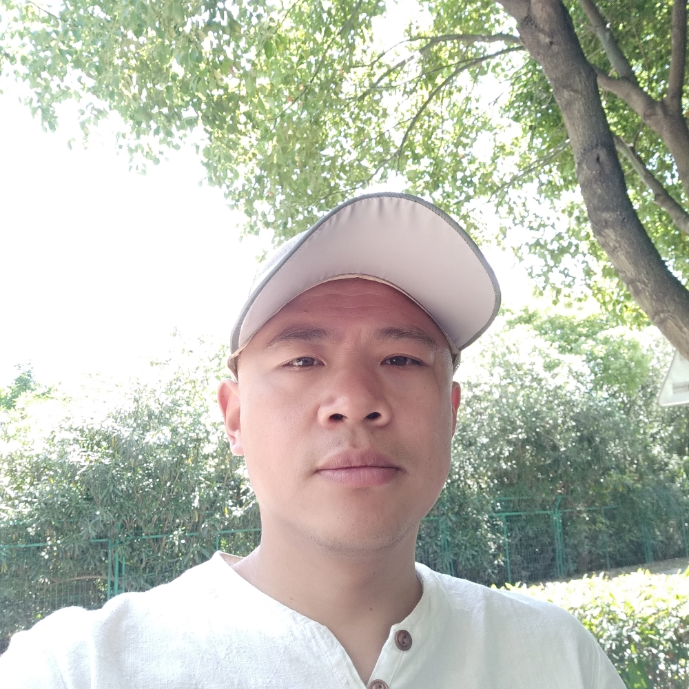 饱满保卫剪影的照片
